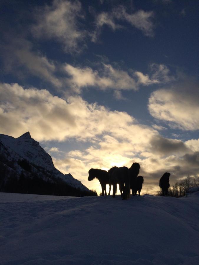 Flo Lofoten Nature Escape Valberg Kültér fotó
